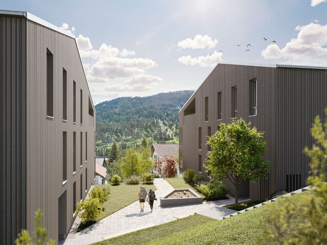 Wohnen mit Aussicht zum fairen Mietpreis – Dalaas  - nur noch wenige Wohnungen frei!  (Alpenländische)