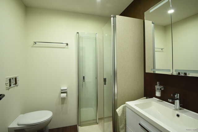 Gewerbeliegenschaft mit 2 Wohnungen in Lustenau, Rasis Bündt zu verkaufen!