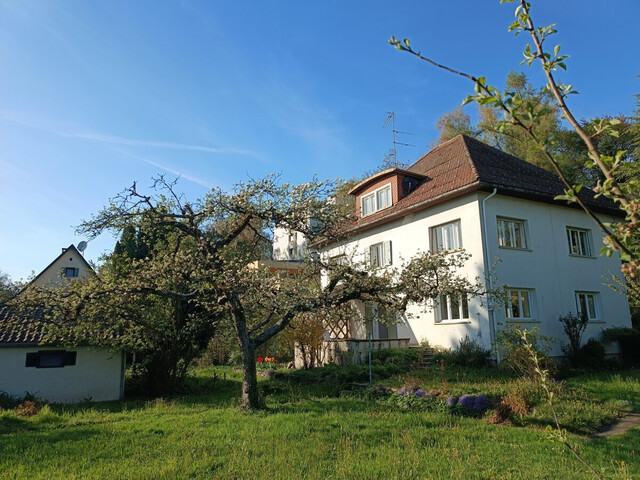 Platz für Neues!
Baugrundstück mit Entwicklungspotenzial