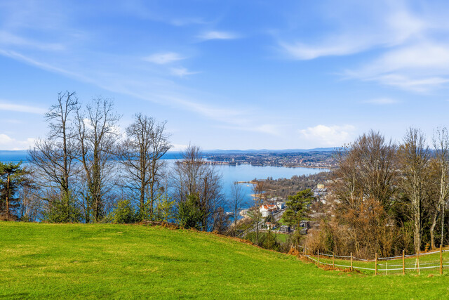 Panoramawohnen in Bestlage: Wohnung am Pfänderhang mit unverbaubarem See- und Bergblick