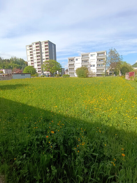 Baugrundstück in Tosters