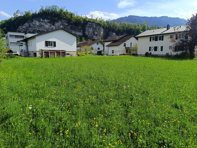 Baugrundstück in Tosters