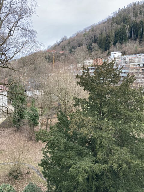 Neu sanierte Wohnung mit Seeblick in Lochau, Tannenbach