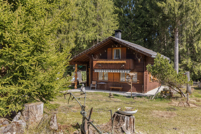 Einzigartiges Ferienhaus im Bregenzerwald. Ruhe-Oase im Grünen mit Skigebiet in der Nähe