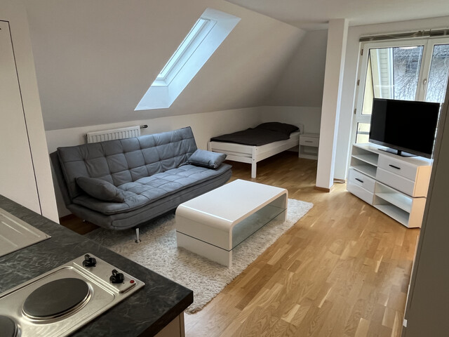 Auch Kurzzeitmiete! Schönes neuwertiges möbliertes Apparttement 
