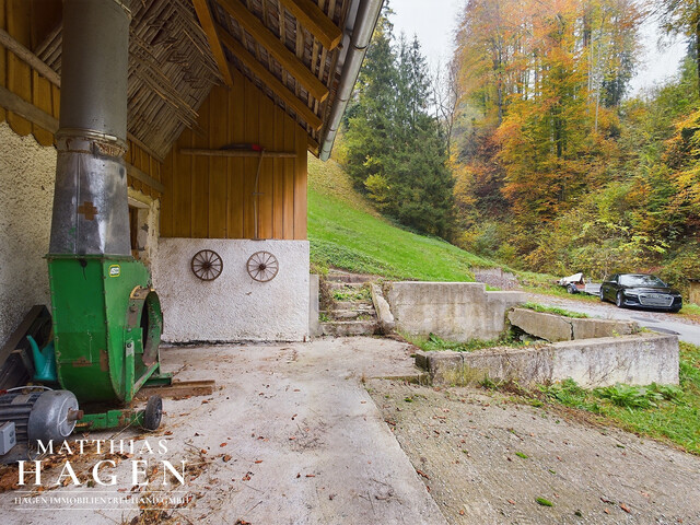 Seltenheit: Kleine Landwirtschaft mit Blick über Dornbirn