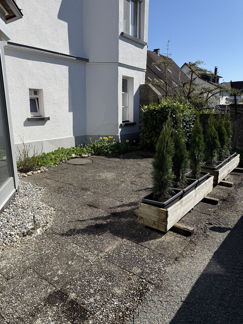 Gemütliche ein Zimmer Apartment in Seenähe Fußach zu vermieten