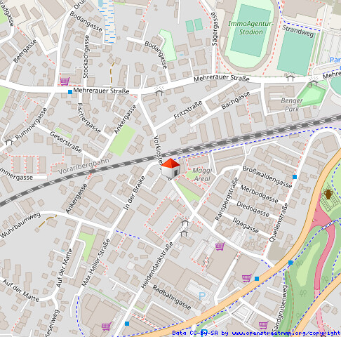 Besondere 2-Zimmer-Wohnung in Bregenz / Vorkloster