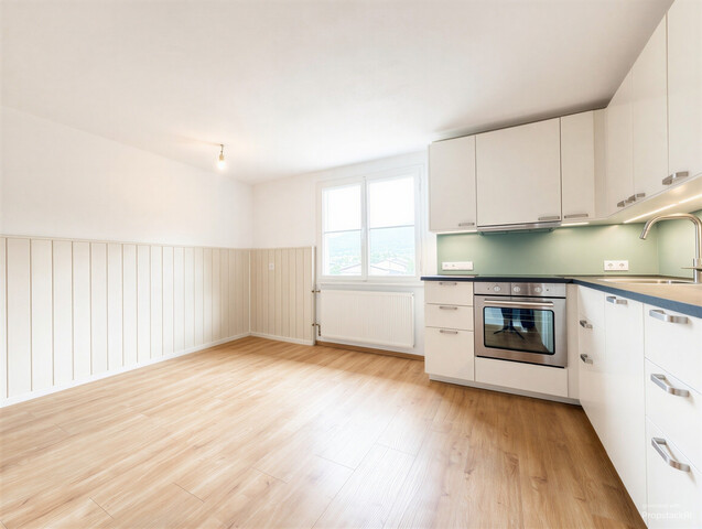 Modernisierte 2,5-Zimmer-Wohnung in Seenähe