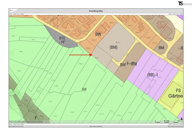 Nenzing: ca. 600 m2 Grundstück in Nenzing – Sonnige Lage mit nahezu unverbaubarem Weitblick