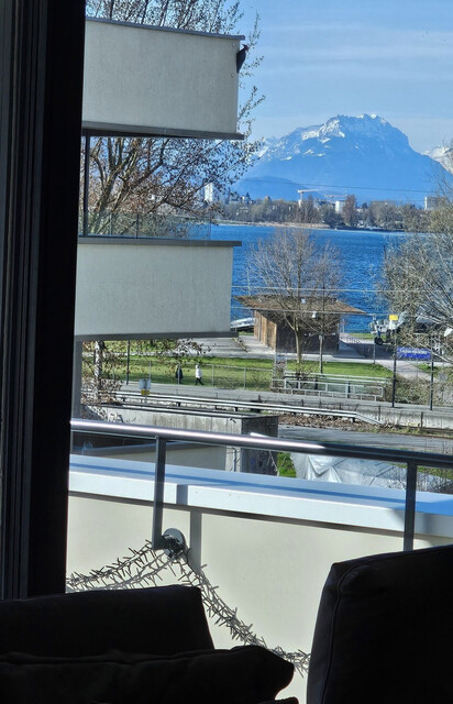  SEEBLICK, PFÄNDERBLICK, nur ein Steinwurf vom Bodensee entfernt, mehr Lebensqualität im Bäumlequartier am See, PRIVATVERKAUF