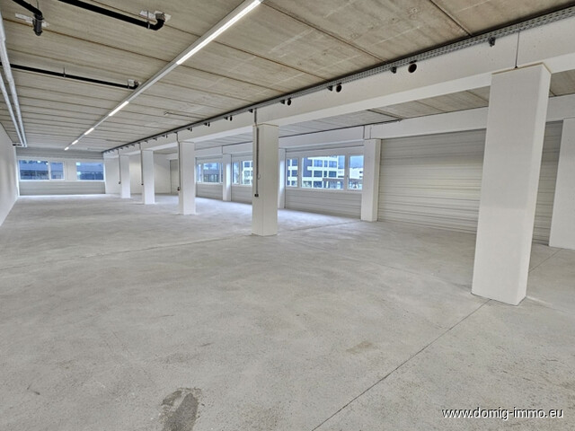 Großzügige Lagerfläche mit vielen Verwendungsmöglichkeiten, 1. OG, 331m² im Betriebsgebiet Dornbirn Nord