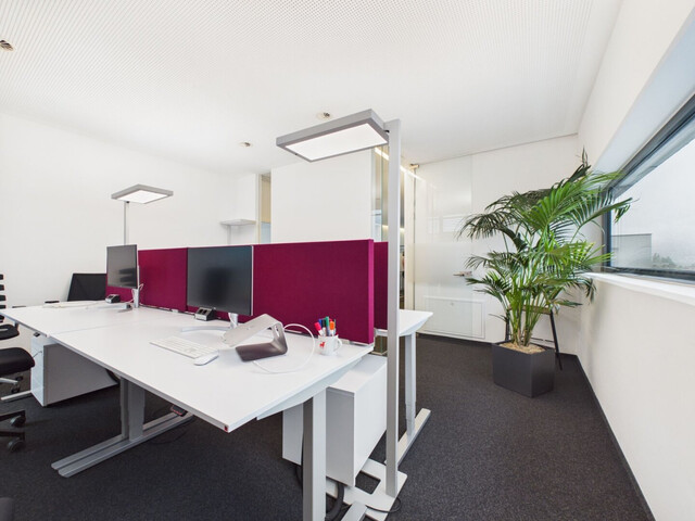 Dachgeschoß-Büro mit 223 m²  in bester Lage mitten Am Garnmarkt in Götzis - Büro 506