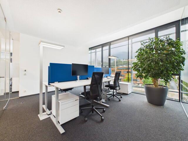 Dachgeschoß-Büro mit 223 m²  in bester Lage mitten Am Garnmarkt in Götzis - Büro 506