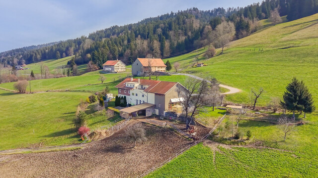 Sulzberg-Thal | Mehrparteienhaus | Großzügiges Anwesen mit 50.012 m²
