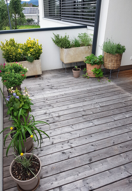 Exklusives Loft mit großer Terrasse in Dornbirn
