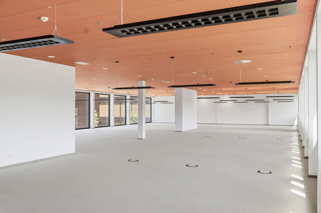 NEUBAU – Hochwertige Bürofläche am Wirtschaftsstandort Wolfurt