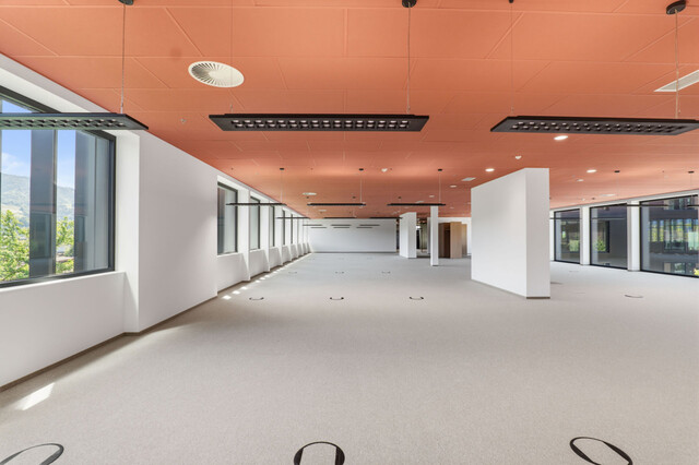 NEUBAU – Hochwertige Bürofläche am Wirtschaftsstandort Wolfurt
