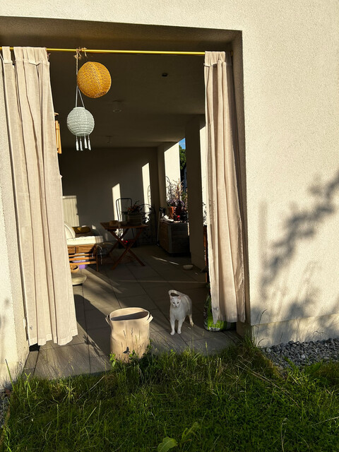Neuwertige 1 Zimmerwohnung mit Garten und Tiefgarage in zentraler und ruhiger Lage