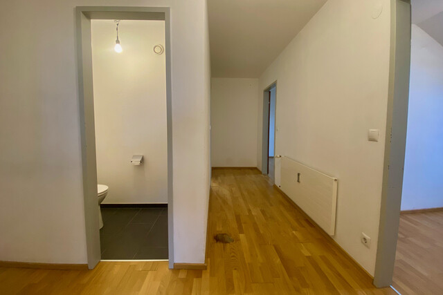 "ohne Provision" gemütliche 2,5 Zimmer Wohnung in zentraler Lage