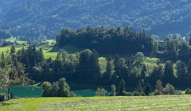 Anwesen in schöner Aussichtslage