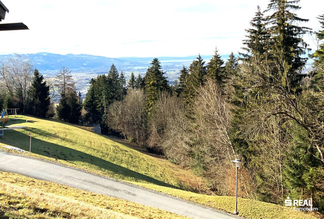 Panorama-Grundstück in Bildstein bereits erschlossen!
