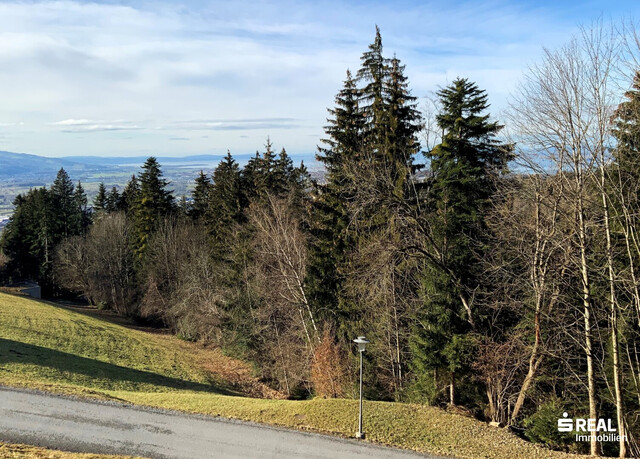 Panorama-Grundstück in Bildstein bereits erschlossen!