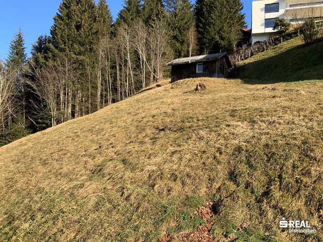 Panorama-Grundstück in Bildstein bereits erschlossen!