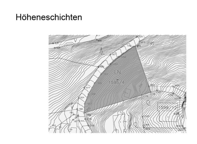 Panorama-Grundstück in Bildstein bereits erschlossen!