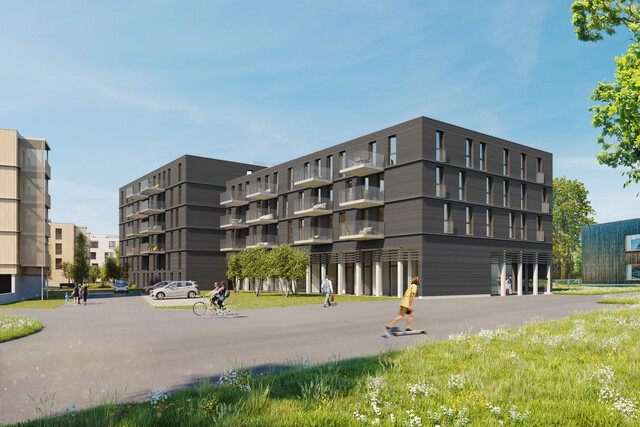 3-Zimmer-Wohnung (Neubau) in Hard – Platz für alles, was noch kommt. 💜