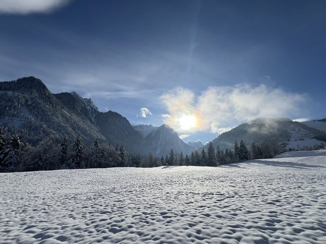 Chalet mit Ferienwohnsitz, Variante 2