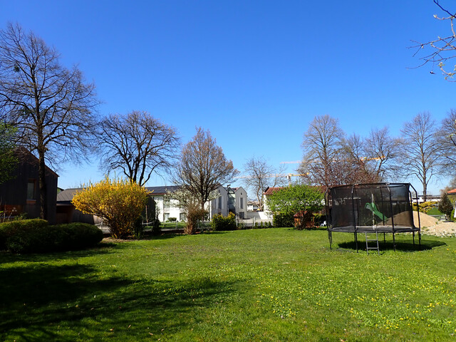 Feldkirch-Altenstadt …ein oder zwei tolle Baugrundstücke, sehr schöne Lage...