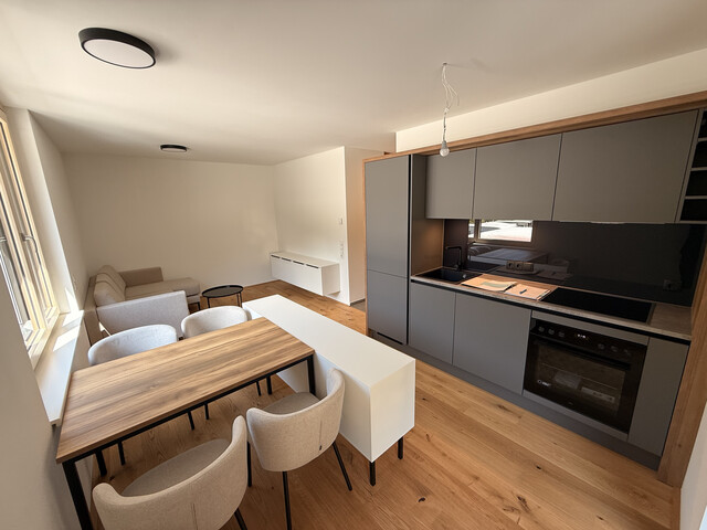 Neubau-Wohnung  voll möbliert mit Balkon und Keller zur Miete (Top 101)