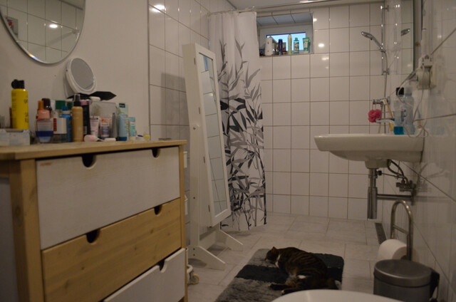 2-Zimmerwohnung am schönen Schwendeweg, Lochau zu vermieten (verfügbar ab 01.05.2026)