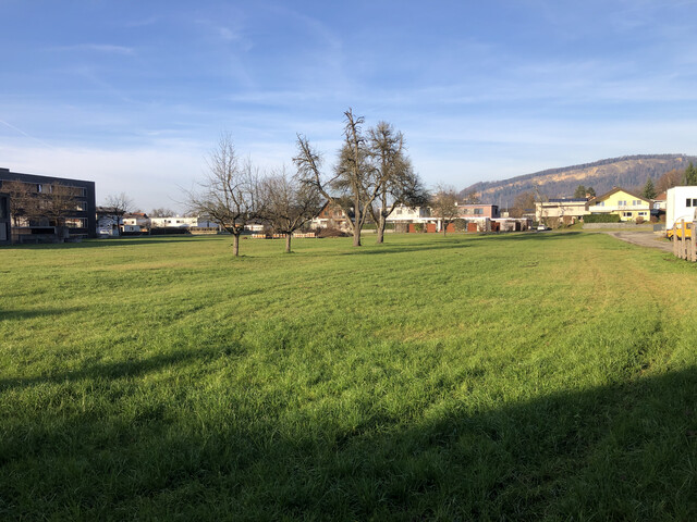 Zentral gelegenes, vielseitig nutzbares Baugrundstück in Wolfurt – provisionsfrei