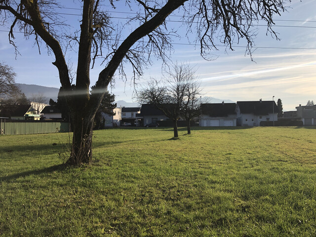 Zentral gelegenes, vielseitig nutzbares Baugrundstück in Wolfurt – provisionsfrei