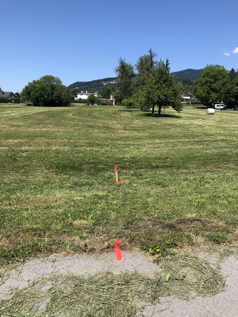 Zentral gelegenes, vielseitig nutzbares Baugrundstück in Wolfurt – provisionsfrei