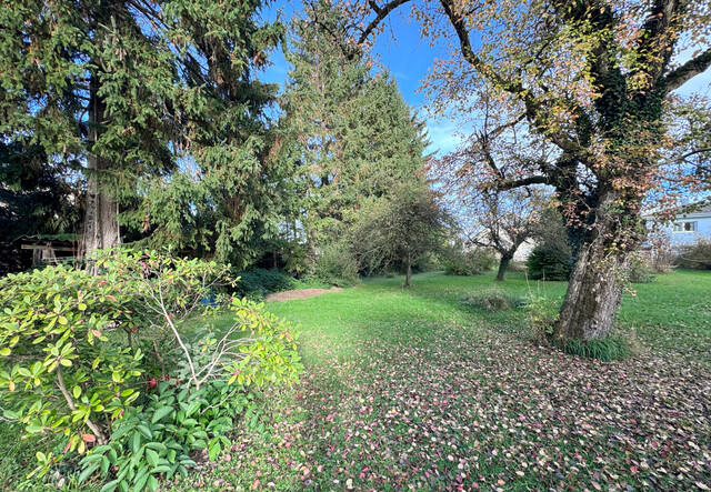 Attraktives Baugrundstück für Ihr
Traumhaus in Fussach
