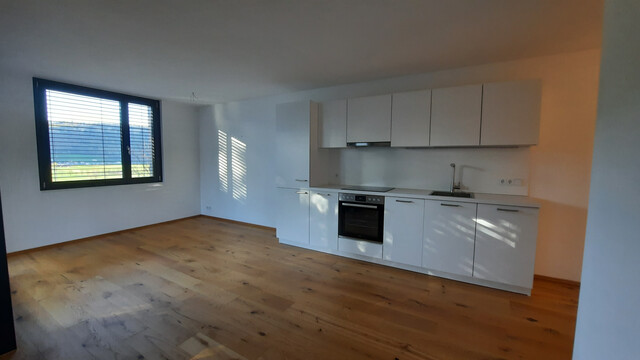 2-Zi-Wohnung in Feldkirch-Tisis, Grenznähe Liechtenstein, schöne Aussichtslage