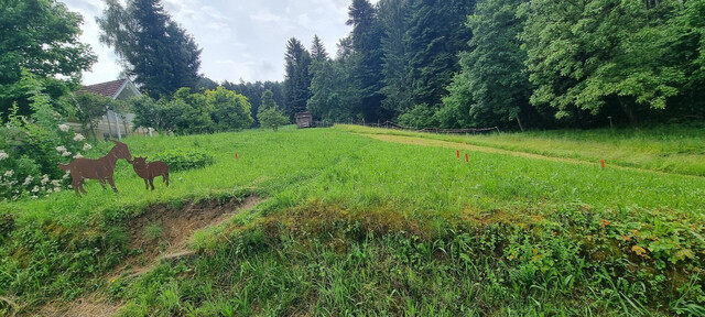 Idyllisches Grundstück in Hohenweiler! Ihr neues Zuhause wartet schon auf Sie!