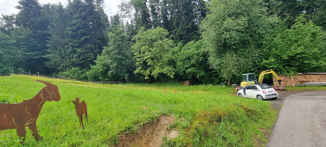 Idyllisches Grundstück in Hohenweiler! Ihr neues Zuhause wartet schon auf Sie!