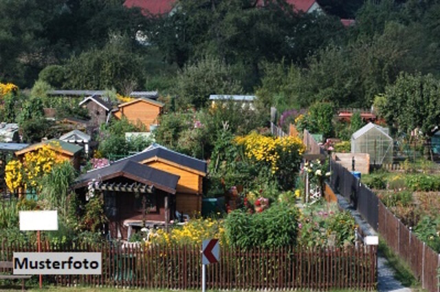 Idyllische Waldfläche im Murauen-Gebiet - Natur pur an der Mur