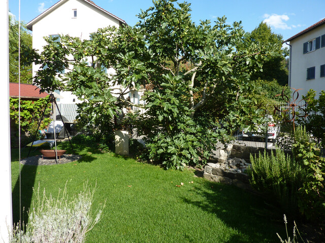 Geräumiges Haus mit Atelier/ Büro/Physio ,  5 Parkplätze, Terrasse, Garten, Abstellraum, Keller und Dachboden