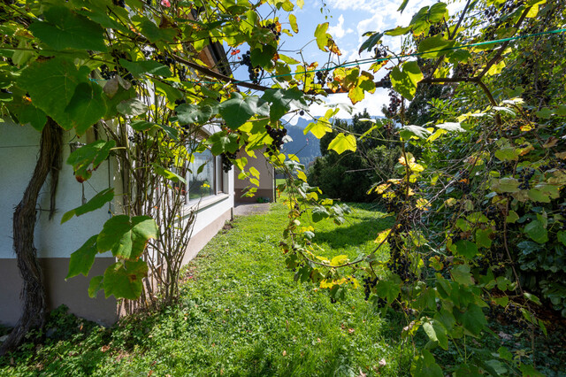 Baugrundstück in Sackgasse