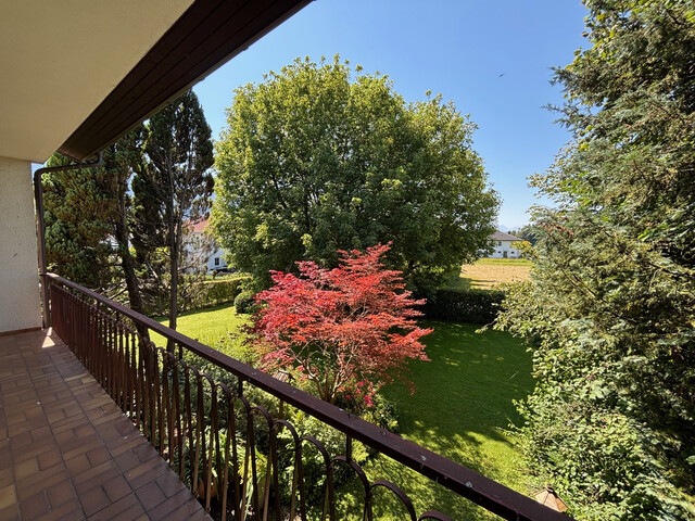 Sonniges Baugrundstück mit Altbestand