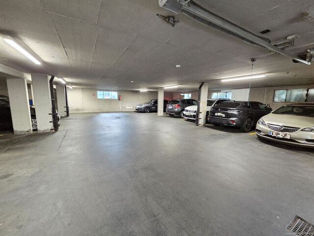 In top Lage: 3,5-Zimmer-Wohnung mit 82,5m², großzügiger Terrasse und Tiefgaragenplatz in Höchst