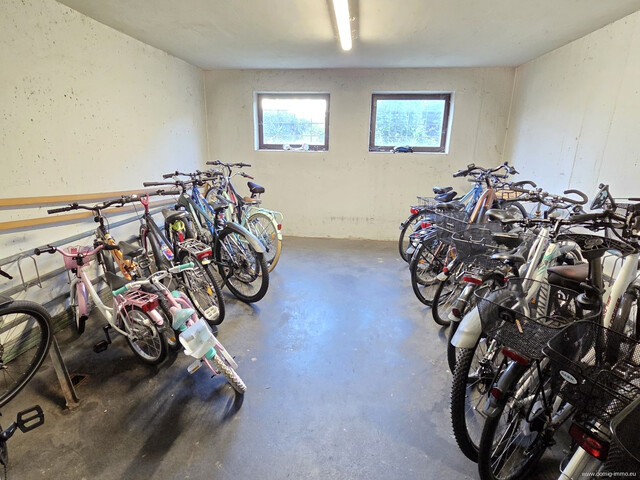 In top Lage: 3,5-Zimmer-Wohnung mit 82,5m², großzügiger Terrasse und Tiefgaragenplatz in Höchst