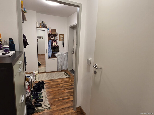 In top Lage: 3,5-Zimmer-Wohnung mit 82,5m², großzügiger Terrasse und Tiefgaragenplatz in Höchst