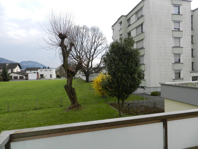 Neu sanierte 2,5-Zimmerwohnung in Hohenems!