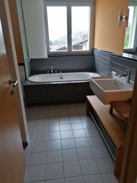 wunderschöne Panorama-Dachgeschosswohnung